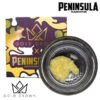Gold Crown x Peninsula Gardens | Budder 1g | Runtz | Hybrid